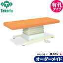 有孔垂直電動Sタイプ TB-491U 高田ベッド 整体ベッド 施術台 施術ベッド エステベッド オーダーメイド 日本製