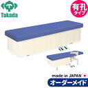 有孔電動セラピハイロー TB-704U 高田ベッド 整体ベッド 施術台 施術ベッド エステベッド オーダーメイド 日本製