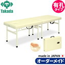 折りたたみベッド ポータブルベッド 持ち運び 業務用ベッド 有孔メモリーオリコ TB-754U 高田ベッド製作所 整体ベッド 施術台 施術ベッド エステベッド 治療ベッド オーダーメイド 日本製 長期保証