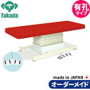 有孔垂直電動Eタイプ TB-762U 高田ベッド 整体ベッド 施術台 施術ベッド エステベッド オーダーメイド 日本製