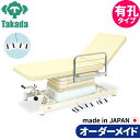 有孔垂直電動2EZタイプ TB-869U 高田ベッド 整体ベッド 施術台 施術ベッド エステベッド オーダーメイド 日本製