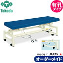 有孔電動ステップキャリー TB-997U 高田ベッド 整体ベッド 施術台 施術ベッド エステベッド オーダーメイド 日本製