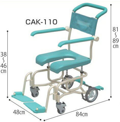 ˡͤ˲ ꡼ ɥ CAK-110경