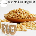 玄米麹 1kg×3個 乾燥 米麹 乾燥 玄米 米こうじ 100% 保存料 無添加 米糀 こめこうじ げんまい 国産 無塩 砂糖不使用 塩麹 甘酒 こうじ 発酵 ...