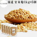 玄米麹 1kg×5個 乾燥 米麹 乾燥 玄米 米こうじ 100% 保存料 無添加 米糀 こめこうじ げんまい 国産 無塩 砂糖不使用 塩麹 甘酒 こうじ 発酵 ...