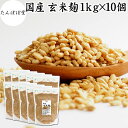 玄米麹 1kg×10個 乾燥 米麹 乾燥 玄米 米こうじ 100% 保存料 無添加 米糀 こめこうじ げんまい 国産 無塩 砂糖不使用 塩麹 甘酒 こうじ 発酵...