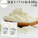 ヨーグルト粉末 100g×2個 ヨーグルトパウダー 業務用 スムージー 無糖 保存料 無添加 砂糖不使用 100% 乳酸菌 ビフィズス菌 善玉菌 サプリメント 製菓材料 粉末ヨーグルト ラッシー 離乳食 ベビーフード ペットフード 犬 プロバイオティクス プレバイオティクス 発酵 食品