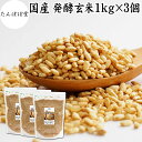 発酵玄米 1kg×3個 酵素ごはん 酵素玄米ごはん 酵素玄米 寝かせ玄米 ご飯 ごはん 麹菌 米麹 乾燥 簡単 手軽 国産 保存料 無添加 100% 業務用 大...