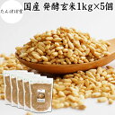 発酵玄米 1kg×5個 酵素ごはん 酵素玄米ごはん 酵素玄米 寝かせ玄米 ご飯 ごはん 麹菌 米麹 乾燥 簡単 手軽 国産 保存料 無添加 100% 業務用 大...