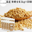 発酵玄米 1kg×10個 酵素ごはん 酵素玄米ごはん 酵素玄米 寝かせ玄米 ご飯 ごはん 麹菌 米麹 乾燥 簡単 手軽 国産 保存料 無添加 100% 業務用 ...