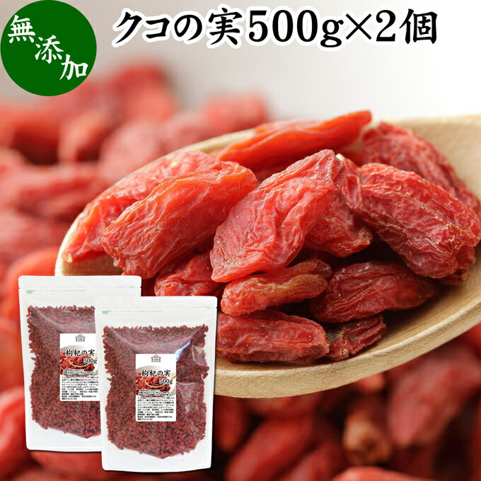 μ 500g2 μ ٥꡼ ե٥꡼ ̵ź 100% ̵忧 ۹μ ۹  goji berry μ μ ̳ ѡա ɥ饤ե롼 󥹥    ߥλ ¥ƥ١ ӥߥ B1 B2 C E 