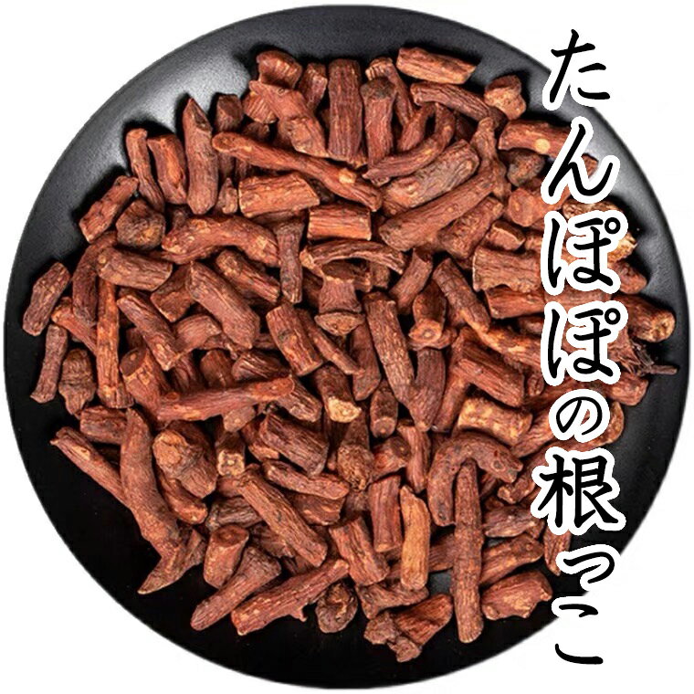 たんぽぽの根っこ 100g たんぽぽ茶 たんぽぽコーヒー たんぽぽ たんぽぽ本舗