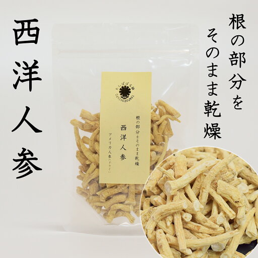 西洋人参(アメリカン人参)100g 根の部分をそのまま乾燥(ざく切りカットタイプ)たんぽぽ本舗 西洋人参(アメリカン人参)100g 根の部分をそのまま乾燥(ざく切りカットタイプ)たんぽぽ本舗