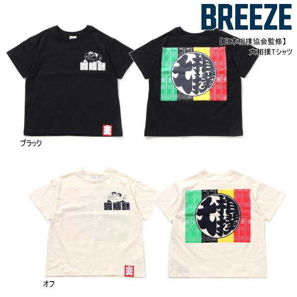 BREEZE֥꡼жƽTj207805ȾµȾ