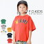 ڥ/20%OFF23'ƿ F.O.KIDS եå CITYT r207243 Ⱦµ Ⱦ ٥ӡ å Ҥɤ