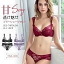 総レース ブラジャー ショーツ 上下セット 下着 ブラセット ワイヤー レースブラ 透け感 美乳ブラ カップ 超極薄