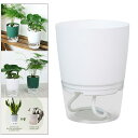 自己散水ポット屋内植物.植木鉢現代の装飾プラスチックプランター大貯水すべての家の植物.花.ハーブ