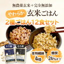 【送料無料】2種食べ比べ 玄米ごはん 180g×12食セット|無添加・無農薬玄米 パックご飯 レトルト 十六穀/もち麦|まとめ買い・健康ダイエットに最適