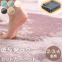 【正午~クーポン5%引】 ラグ×ホットカーペット 2点セット 低反発ラグ ホットカーペット 2畳 3畳 4畳 セット 軽量 滑り止め付 低反発 極厚 冬 カーペット 電気カーペット 北欧 正方形 四角 オールシーズン 足元暖房 絨毯 秋 冬用 ダニ退治 2畳用 3畳用 4畳用