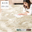 【送料無料】 ラグ 丸洗い ラグマット シャギー 200×250 ホットカーペット対応 防ダニ 滑り止め 3畳 マット 洗える オールシーズン ラグ 北欧 ラグマット カーペット 春 夏 長方形