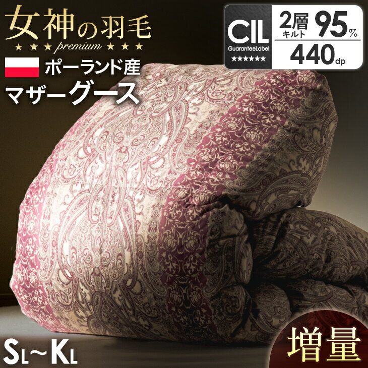 【20時~クーポン5%引!更にライブP5倍