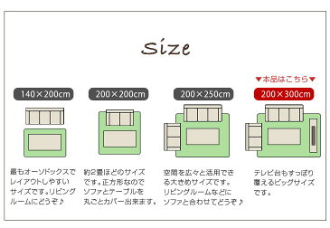 ★20時〜6H全品P5倍★【送料無料】とろける 低反発ラグ 200×300cm ホットカーペット対応 ラグ とろける 滑り止め 付 オールシーズン ラグマット マット ラグカーペット ラグ 厚手 低反発 長方形 四角 4畳 絨毯 秋 冬 冬用 フランネル とろけるラグ