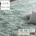  さらふわ手触り 洗えるシャギーラグ 200×200 くすみカラー 抗菌 防臭 防ダニ 低ホル 洗える 防音 滑り止め ラグ ラグマット オールシーズン シャギー 正方形 2畳 厚手 カーペット ホットカーペット対応 絨毯 北欧 おしゃれ 可愛い