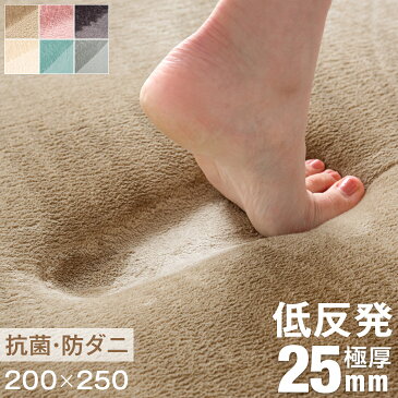 【送料無料】低反発ラグ 極厚 25mm ラグ 200×250 抗菌 防ダニ 撥水 フランネルラグ 防音 防ダニ ラグ ホットカーペット対応 3畳 厚手 滑り止め付 オールシーズン 床暖房 長方形 ラグマット マット カーペット 絨毯 低反発 おしゃれ 北欧