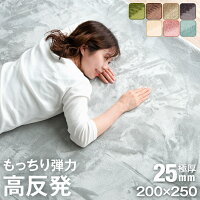 防音&クッション性UP 高反発ラグ 極厚25mm フランネルラグ 200×250 フランネル 撥水 防音 滑り止め付 マイクロファイバー ラグ ラグマット カーペット ラグカーペット 長方形 絨毯 高反発 ホットカーペットカバー