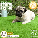 【本日クーポン5%引】 楽天1位 お掃除楽々&ドッグランに! 芝丈20mm 超高密度 人工芝 [