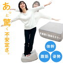 【正午~クーポン5%引】 新感覚バランスクッション 空気入れいらず 1...(4)