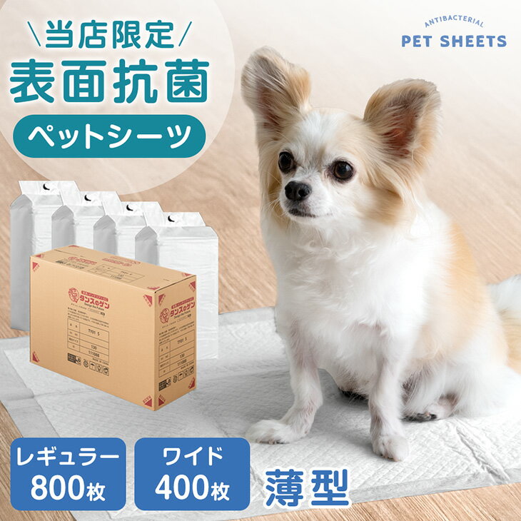 《当店だけの表面抗菌》 ペットシーツ レギュラー 800枚 / ワイド 400枚 ノンホル 蛍光剤不使用 ペットシート トイレシート トイレシーツ ペット用シート トイレットシート シート シーツ 犬 小型犬 中型犬 猫 ペット トイレ用品 抗菌 薄型