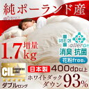 本物へのこだわり 純ポーランド産 【送料無料/在庫有】日本製 羽毛布団 ダブル 増量1.7kg 7年保証 【SEK認定アレルGプラス 気になる臭いも改善】 400dp以上 ホワイト ダウン 93% 国産 CIL ゴールドラベル 抗菌 消臭 掛布団