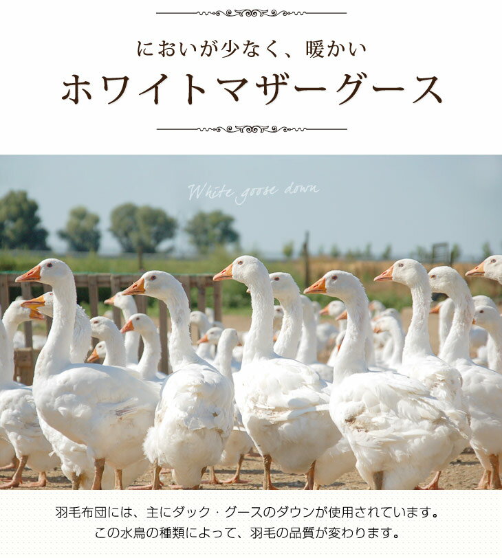 音節 カブ ミット 羽毛 布団 タンス の ゲン Consuladotailandiauy Org