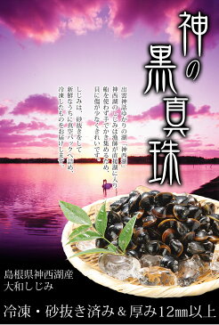 【送料無料】 島根県 神西湖産 大和しじみ 神の黒真珠 500g 冷凍 産地直送 真空パック 砂抜き済み 大型 2パック 大粒 しじみ貝 冷凍しじみ しじみ 出雲市 神西湖【代引き・後払い不可】