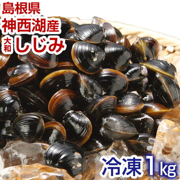 【送料無料】 島根県 神西湖産 大和しじみ 神の黒真珠 1kg 冷凍 産地直送 真空パック 砂抜き済み 大型 2パック 大粒 しじみ貝 冷凍しじみ しじみ 出雲市 神西湖【代引き・後払い不可】