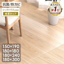 【正午~クーポン5%+300円OFF】 楽天1位