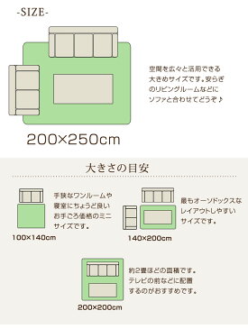 【送料無料】 ラグマット 高密度 3000 ラメ入り 40mmパイル ラグ 厚手 極厚 シャギーラグ 200×250 3畳 長方形 カーペット シルバー ベージュ グリーン グレー ネイビー ブラック ホットカーペット対応 新生活 【後払い不可】