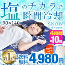 ★今夜20時〜4時間全品P10倍★【送料無料】 塩の力で瞬間...