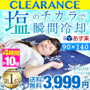 ★クリアランス!3,999円★【あす楽対応】 ★今夜20時〜4時間全品P10倍★【送料無料】塩の力で...