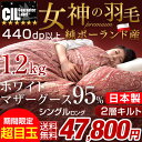 女神の羽毛布団★期間限定 47,800円!2/24(土)まで★【送料無料】 純ポーランド産 ホワイト マザー グース ダウン 95% シングル ロング 綿100% 超長綿 60サテン 羽毛布団 増量1.2kg 440dp以上 180mm以上 二層キルト 国産 掛け布団 羽毛ふとん