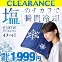 ★クリアランス!1,999円★【送料無料】 ジェルの3倍冷却持続! 塩 冷却マット 敷きパッド 40×45 ひんやりマット 抗菌 防カビ 超低ホル 冷感 クール 敷パッド シングル 夏 クールマット ひんやり 敷きパット パッド ソルト 暑さ対策