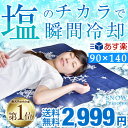 ★在庫限り!2,999円★【あす楽対応】 【送料無料】塩の力...