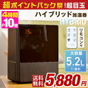 ★62H限定!超目玉★★今夜20時〜4時間全品P10倍★【送...