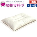 安眠枕（売れ筋ランキング） 【正午~クーポン5%OFF】 日本製 枕 ダクロン デュラライフ 頚椎支持型 洗える 43×63 水切りメッシュ付 インビスタ 速乾 安眠枕 快適枕 頚椎支持 ウォッシャブル まくら マクラ ピロー 国産【後払いNG】