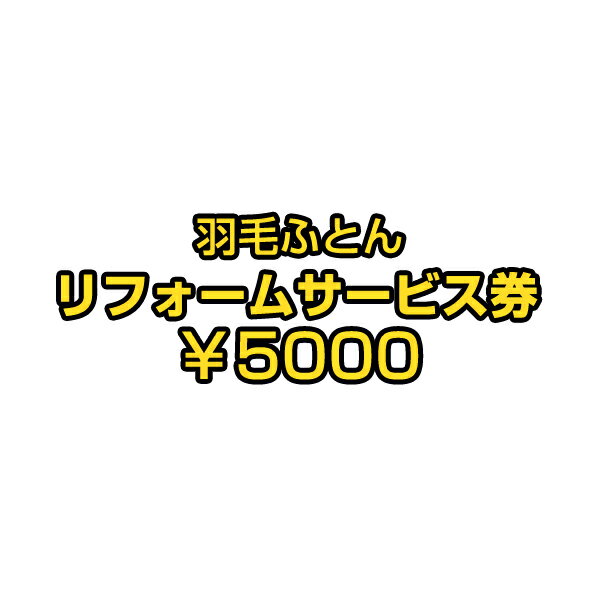 【正午~P5倍】 【リフォーム代金5000円+往復宅配料4000円＝9000円】 7年後羽毛リフォーム【商品番号10119001　シング…