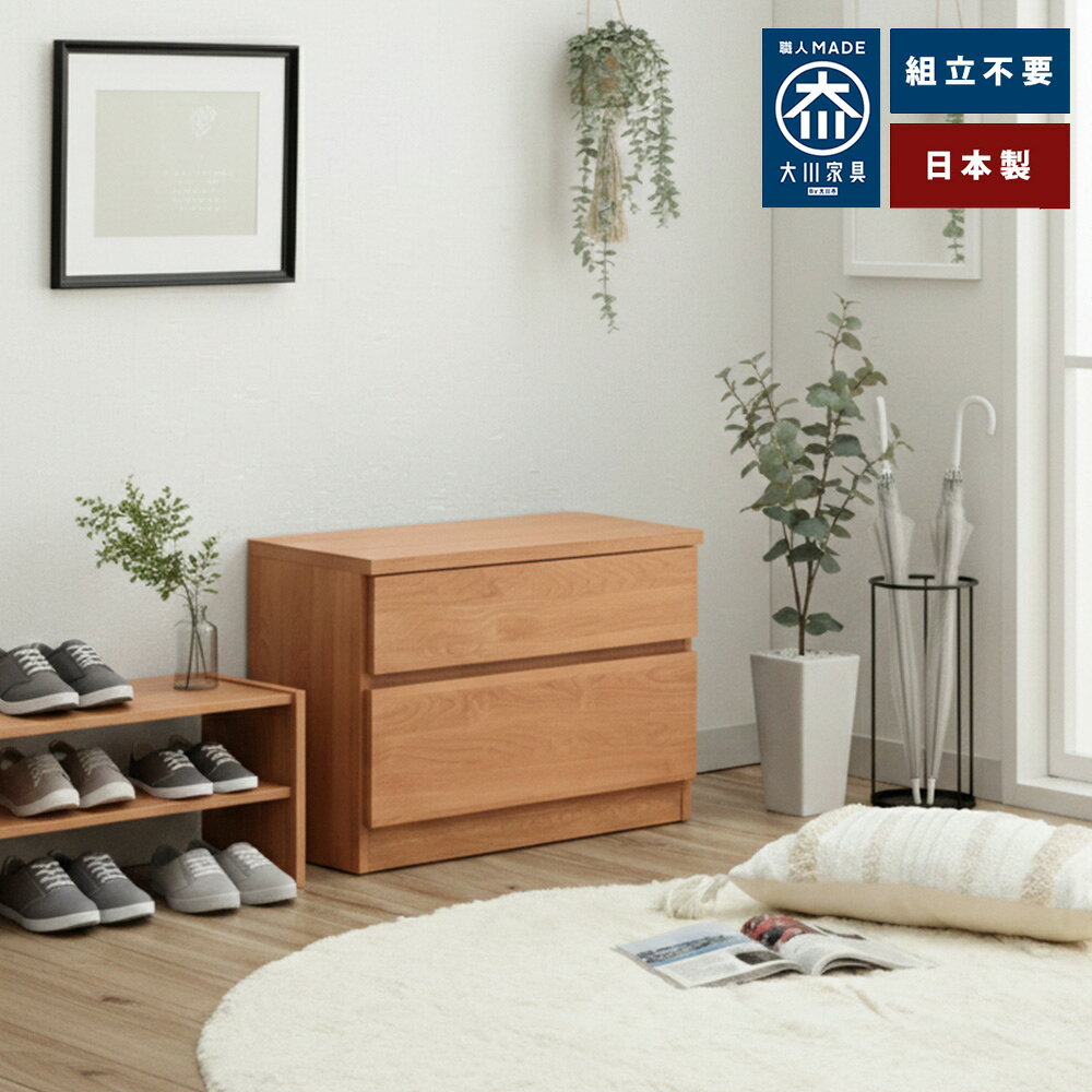 ［マラソン中5％OFFクーポン］ 薄型チェスト 2段 | 玄関 ベンチ 収納 60cm 収納 薄型 幅60cm 奥行30cm 【 収納付 腰掛け 木製 玄関ベンチ 奥行30 スリムチェスト 子ども用収納 明日の準備 座れる収納 完成品 日本製 大川家具 ベンチチェスト