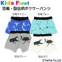 【40％OFFセール】ボクサーパンツ 男の子 昆虫柄 恐竜柄 キッズ 下着 子供服【返品交換不可】【K】【2101】【C】