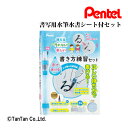 書写用みず筆 水書用紙セット ぺんてる Pentel 男の子 女の子 書道セット キッズ 子供用 習字 練習 シンプル コンパクト 小学校 入学 新学期 FRG...