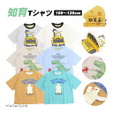 【40%OFFセール】半袖Tシャツ 知育 トドラー キッズ 100-120cm 男の子 トップス しろくま はたらく車 恐竜 仕掛け ギフト プレゼント 全6色...
